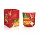 SWIECA SZKLO 150G CHRISTMAS FRUIT GARDEN