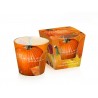 SWIECA SZKLO 115G PUMPKIN SEASON